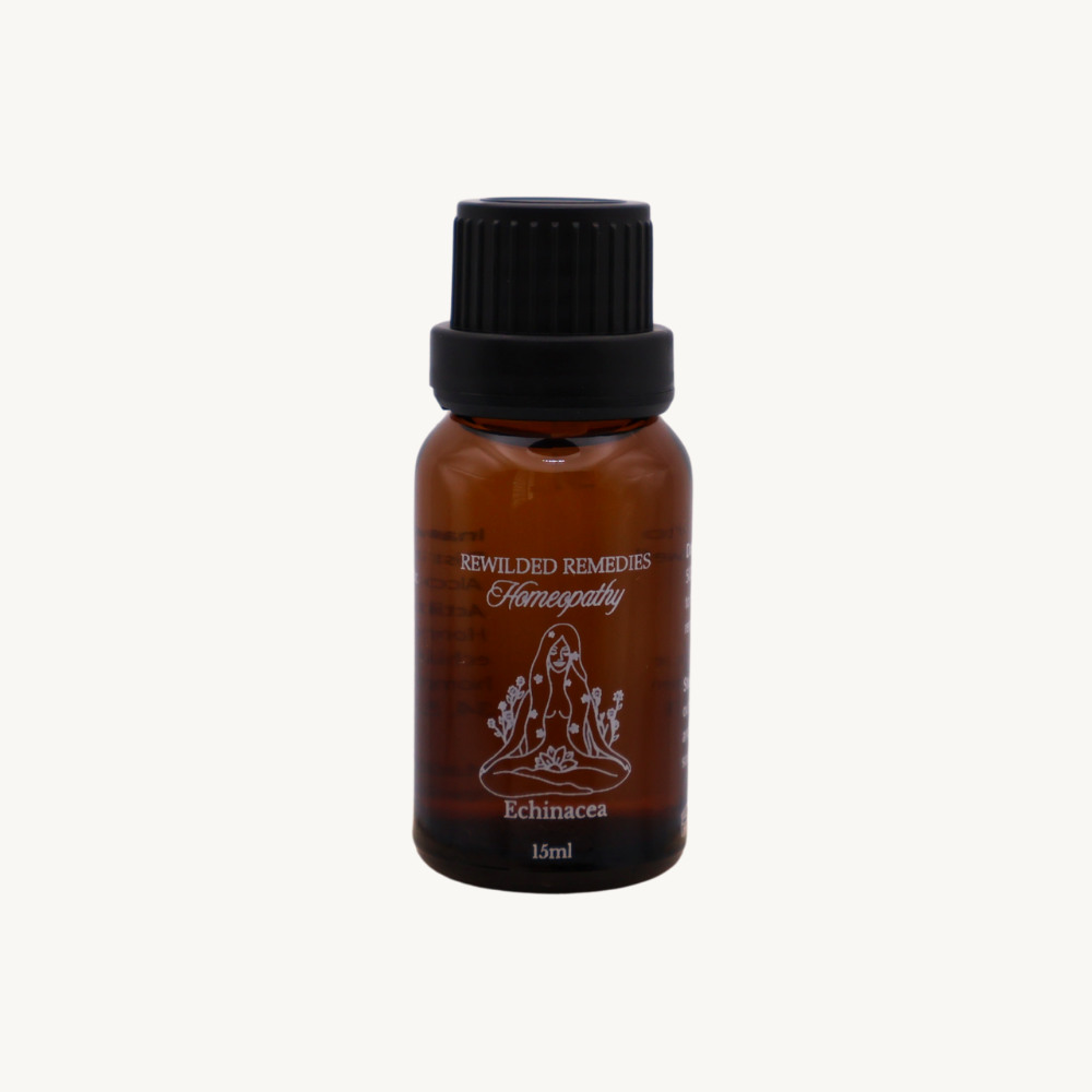 Echinacea