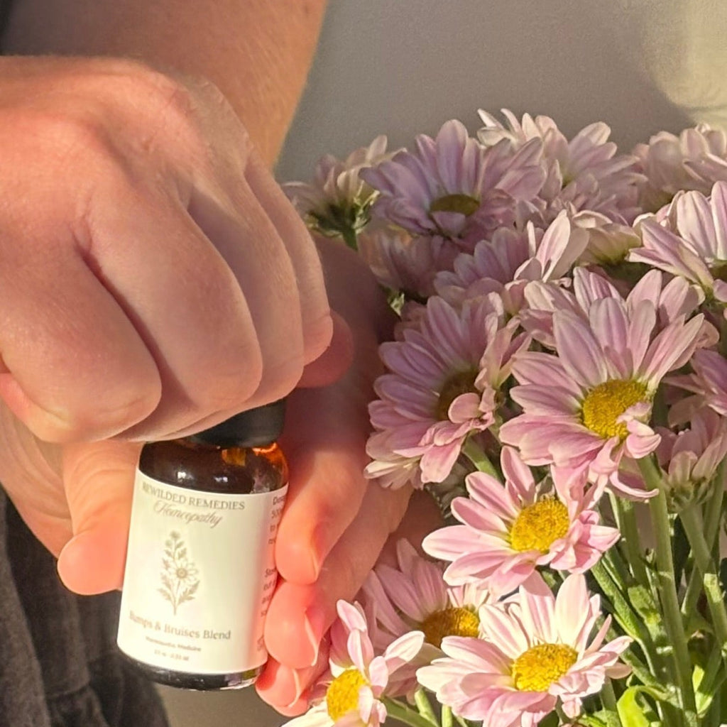 First Aid Kit - 24 Remedies + Choose 6 Blends