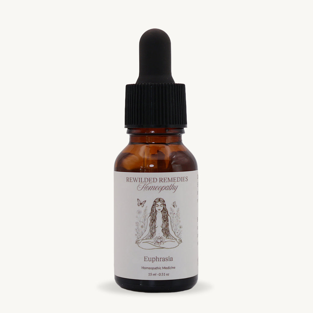 Euphrasia